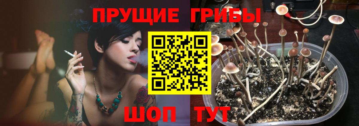 Галлюциногенные грибы мицелий  Вход с VPN  закладка  Серпухов 